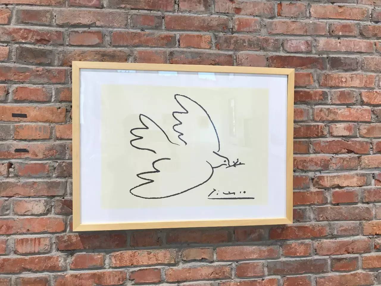 《和平鸽》毕加索