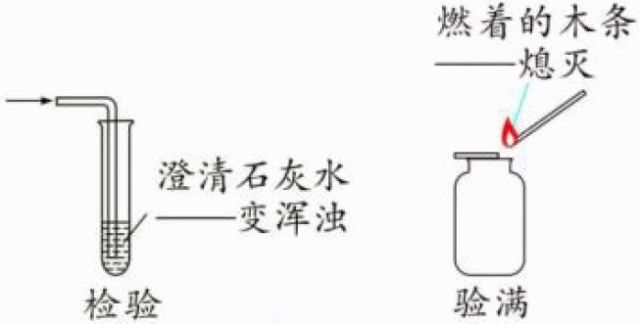 若木条复燃,则说明已收集满 检验:通入澄清石灰水中,澄清石灰水变浑浊