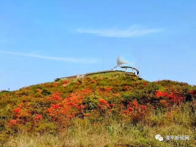 五月,位于龙岩与漳平交界处的红尖山被满山遍野的杜鹃花染红,火红的