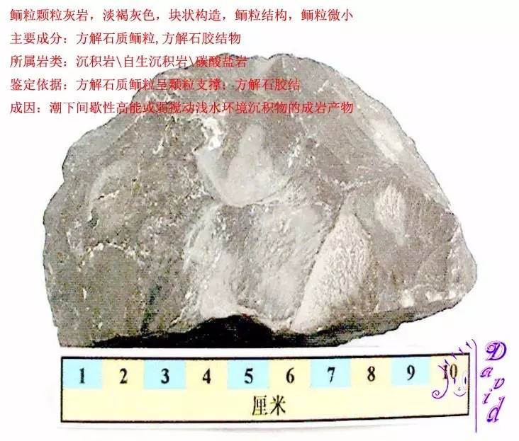 鲕粒颗粒灰岩1鲕粒硅质岩豆粒颗粒灰岩层纹石灰岩残鲕灰质白云岩白云