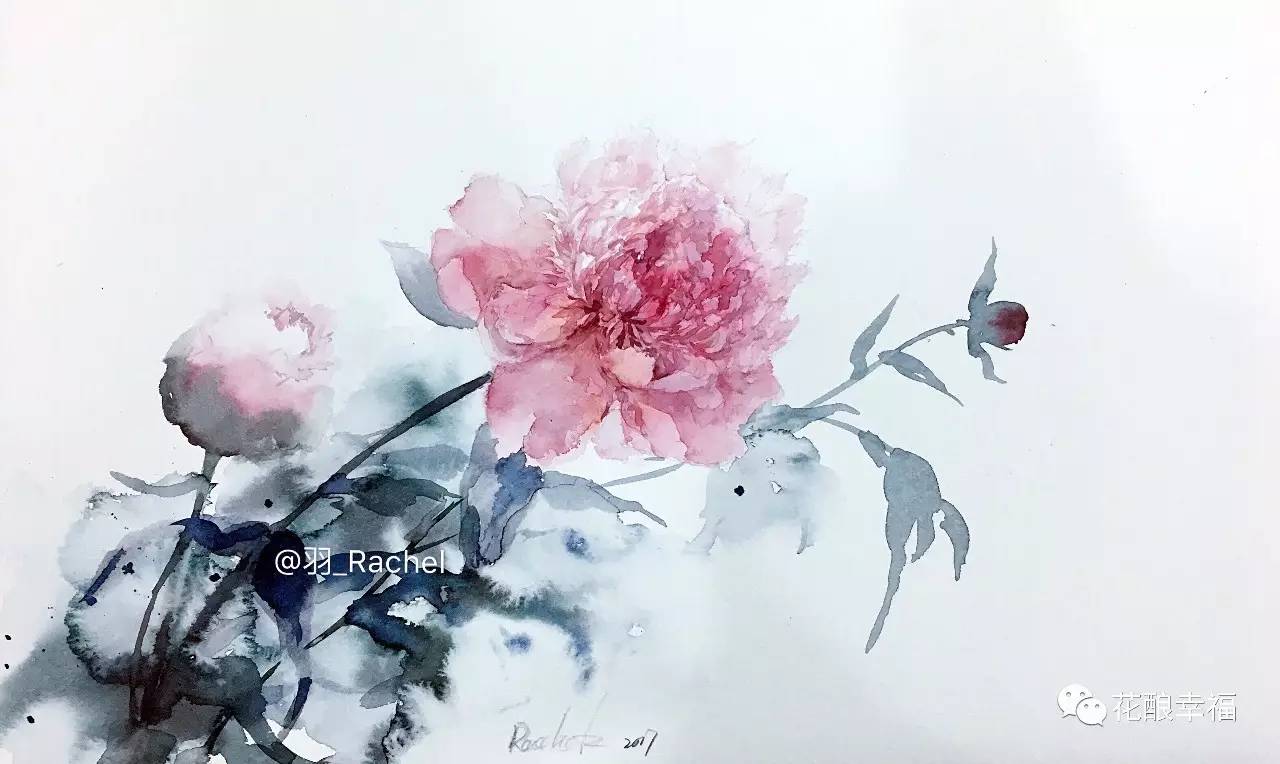 一起来画画 / 视频教程—芍药