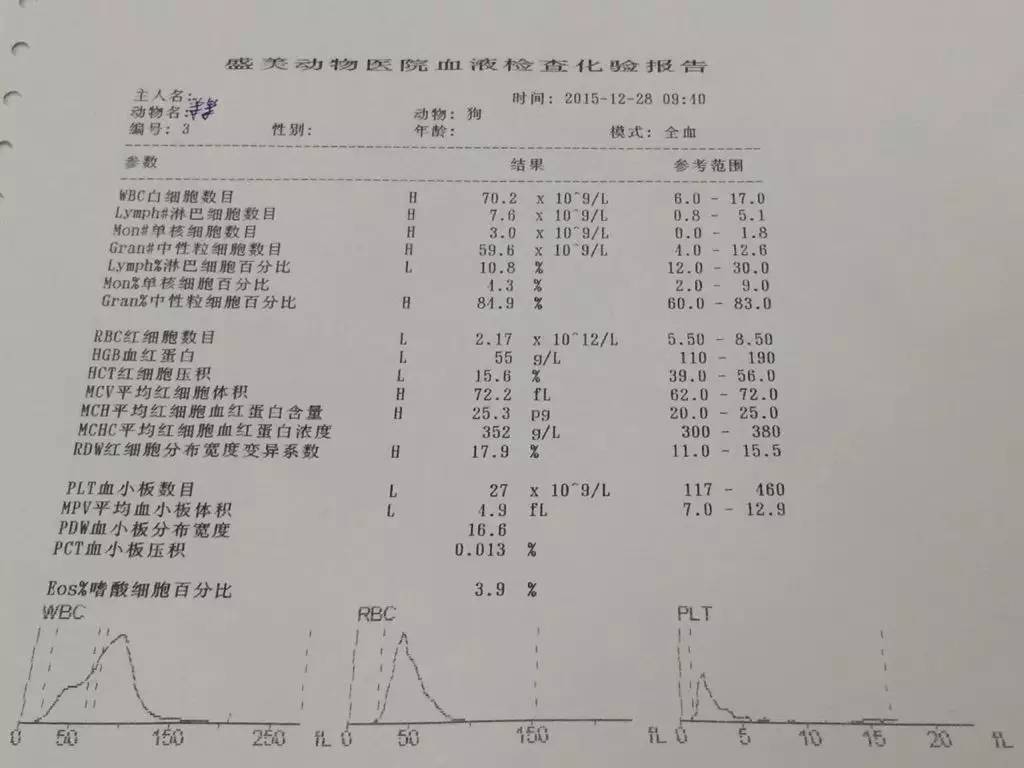 兽医处方看不懂怕被坑?五分钟教你看懂它的化验单!