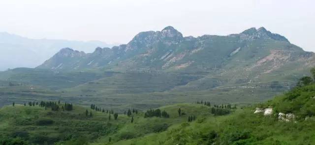 博山总人口数_博山酥锅图片