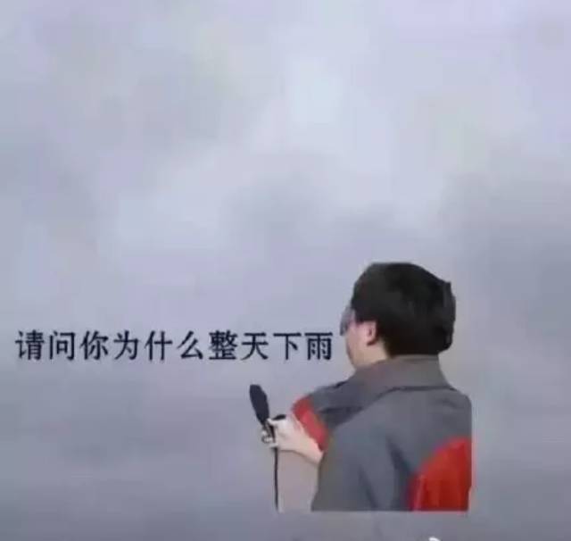 形容专业的句子