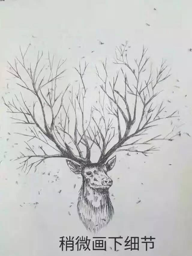 如何画一头有逼格的鹿!实用教程!