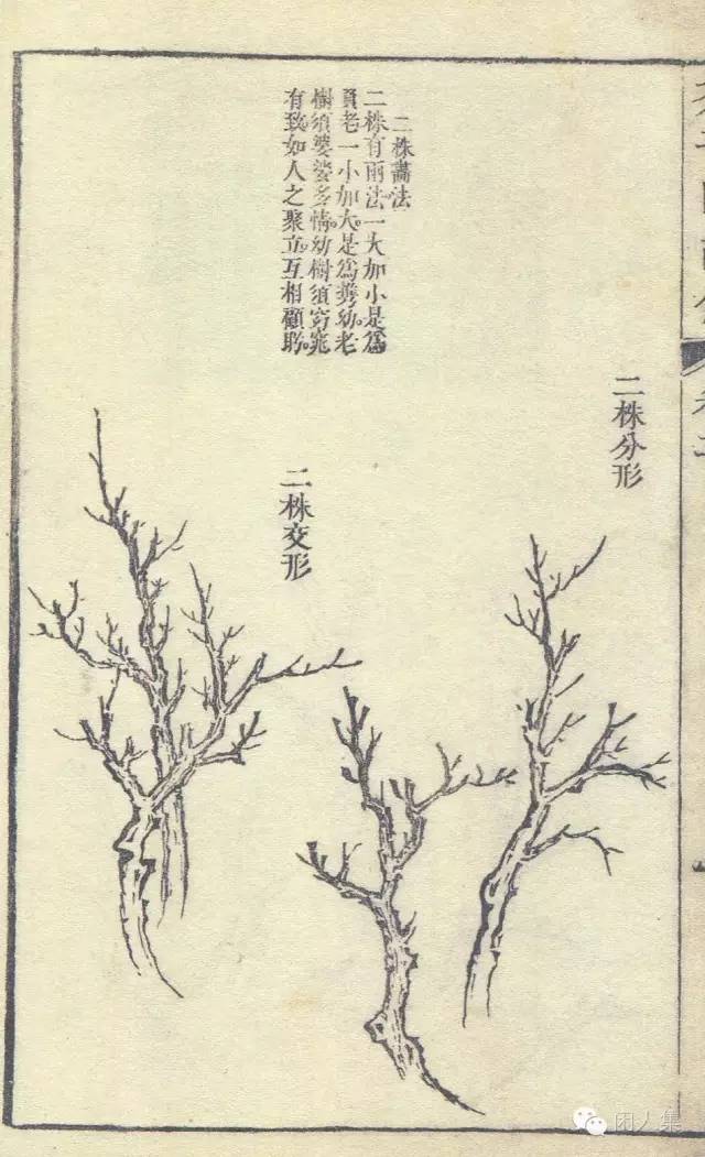 【国画教程】芥子园画谱(树的步骤画法)