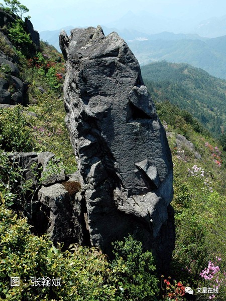 悦读|叶家坤:赏花问道仙岩山