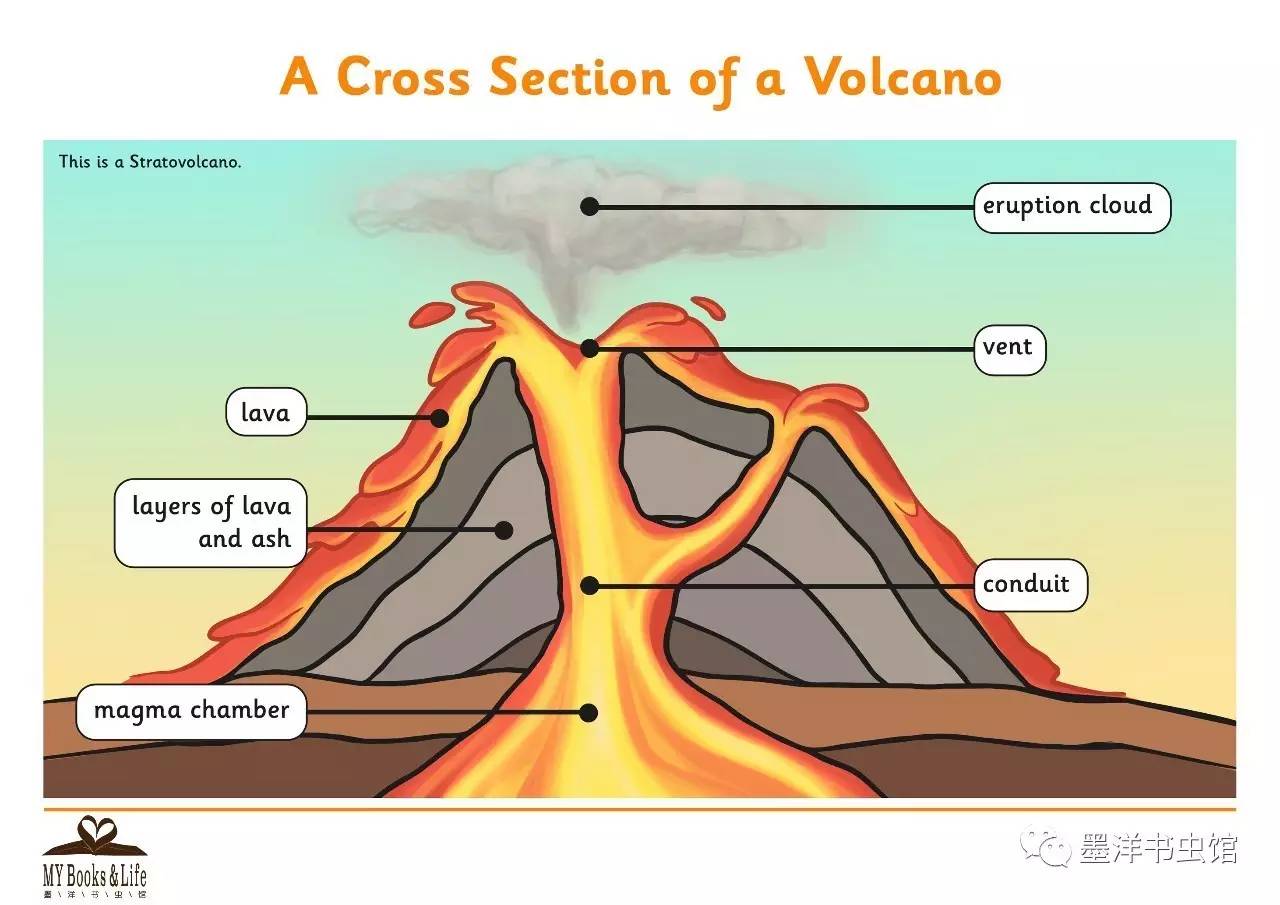 墨洋亲子英语丨科普篇-volcano 火山肚子里面有什么呢?