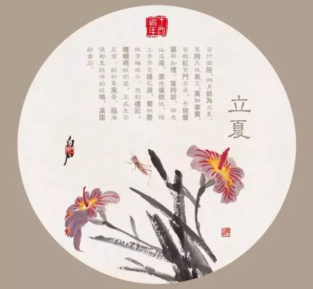 五月繁花盛,立夏植物知多少?