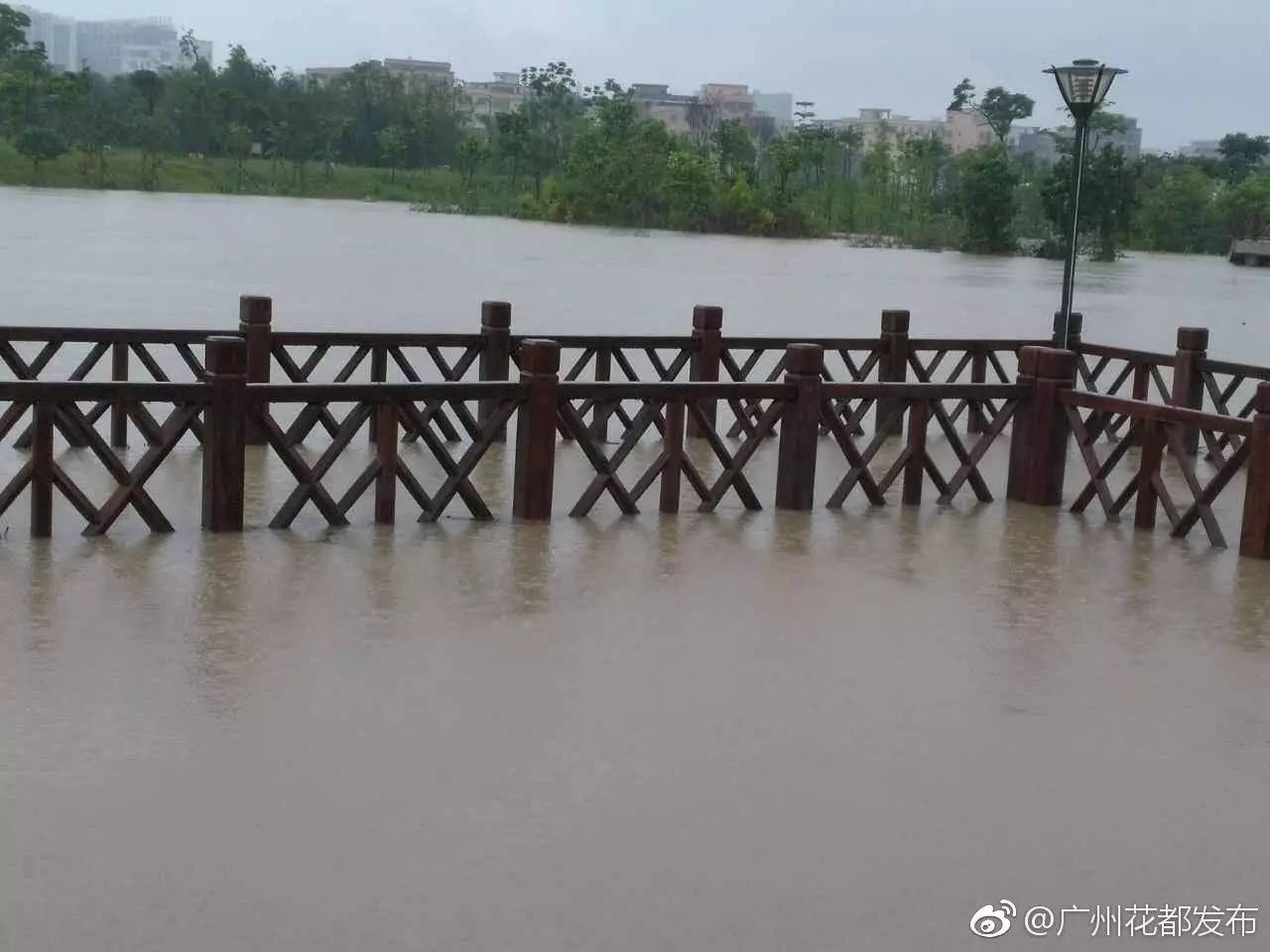 花都区花东镇总人口数_花都区花东镇