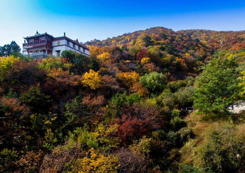 【好去处】美丽风景,海棠山风景区!