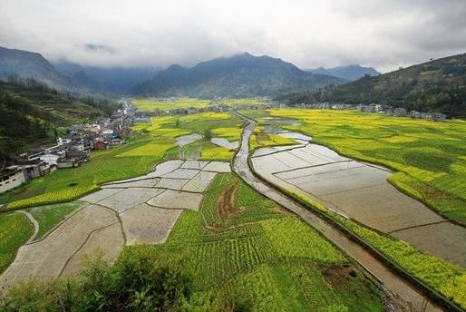 大河乡农业人口_图片新闻 榆阳大河塔乡农民春耕忙(3)