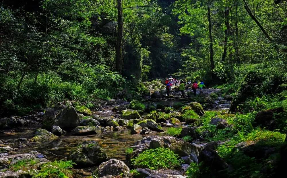 北河乡西河头村有多少人口_西河支前河岔村