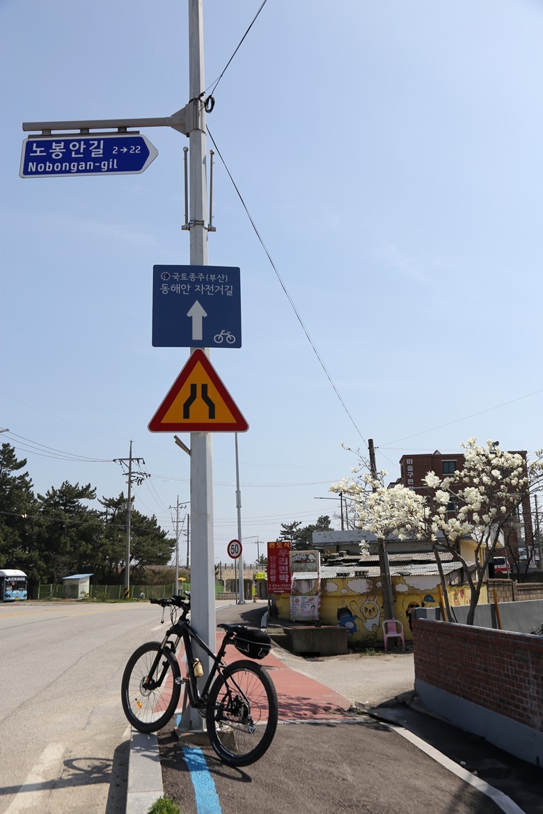 幻仙窟,海洋列车(三陟海边站)在被大海环抱的江原道江陵市,东海市