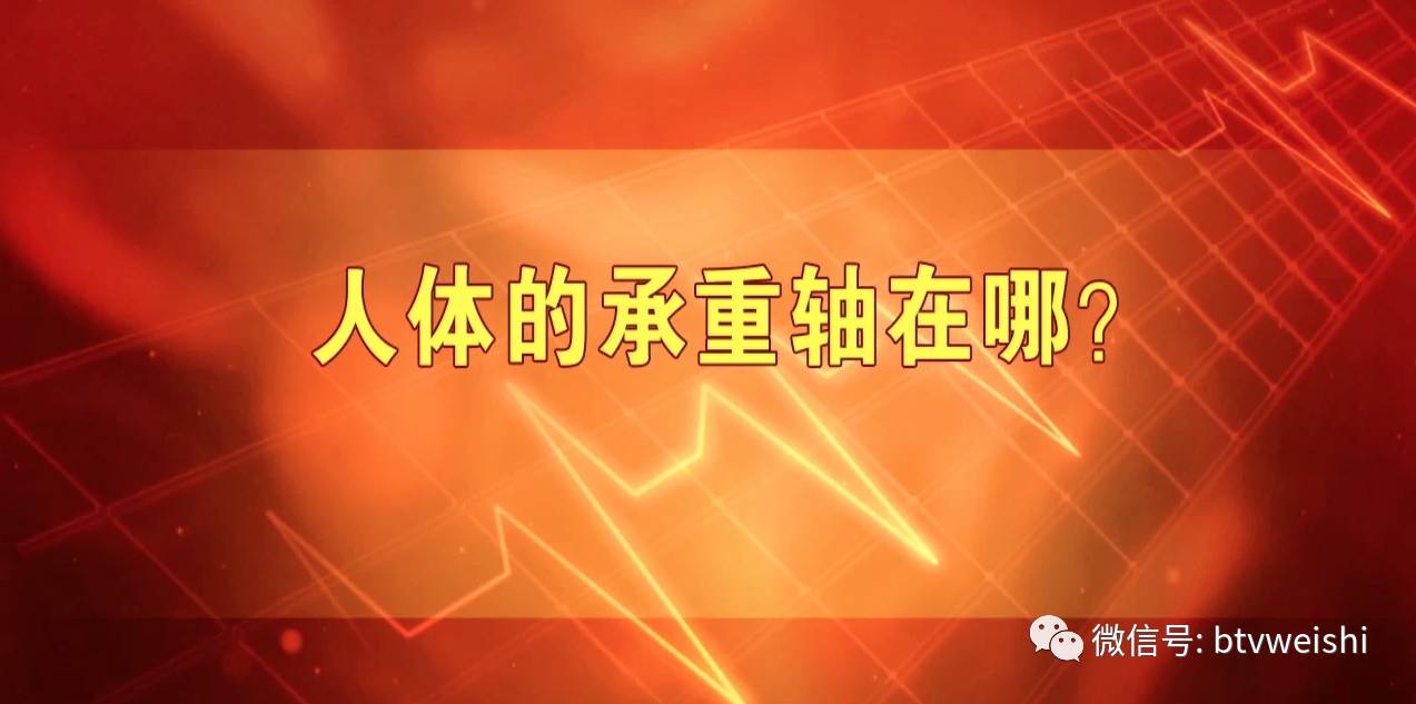 【养生堂】今日17:25播出《修复人体的"承重轴"》