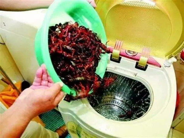 中国人发明出能洗小龙虾的洗衣机,震惊岛国人