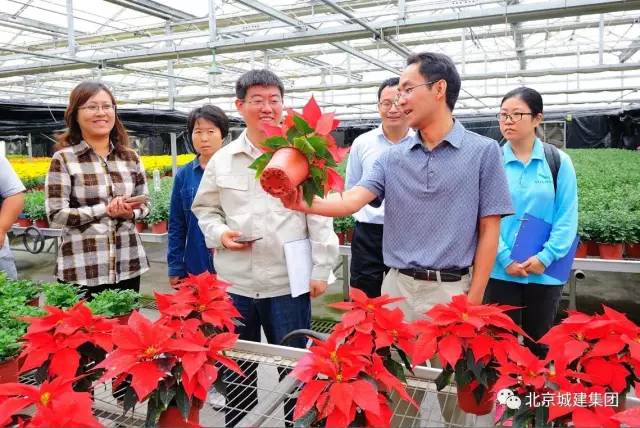 鞍山绿化老总_鞍山师范学院