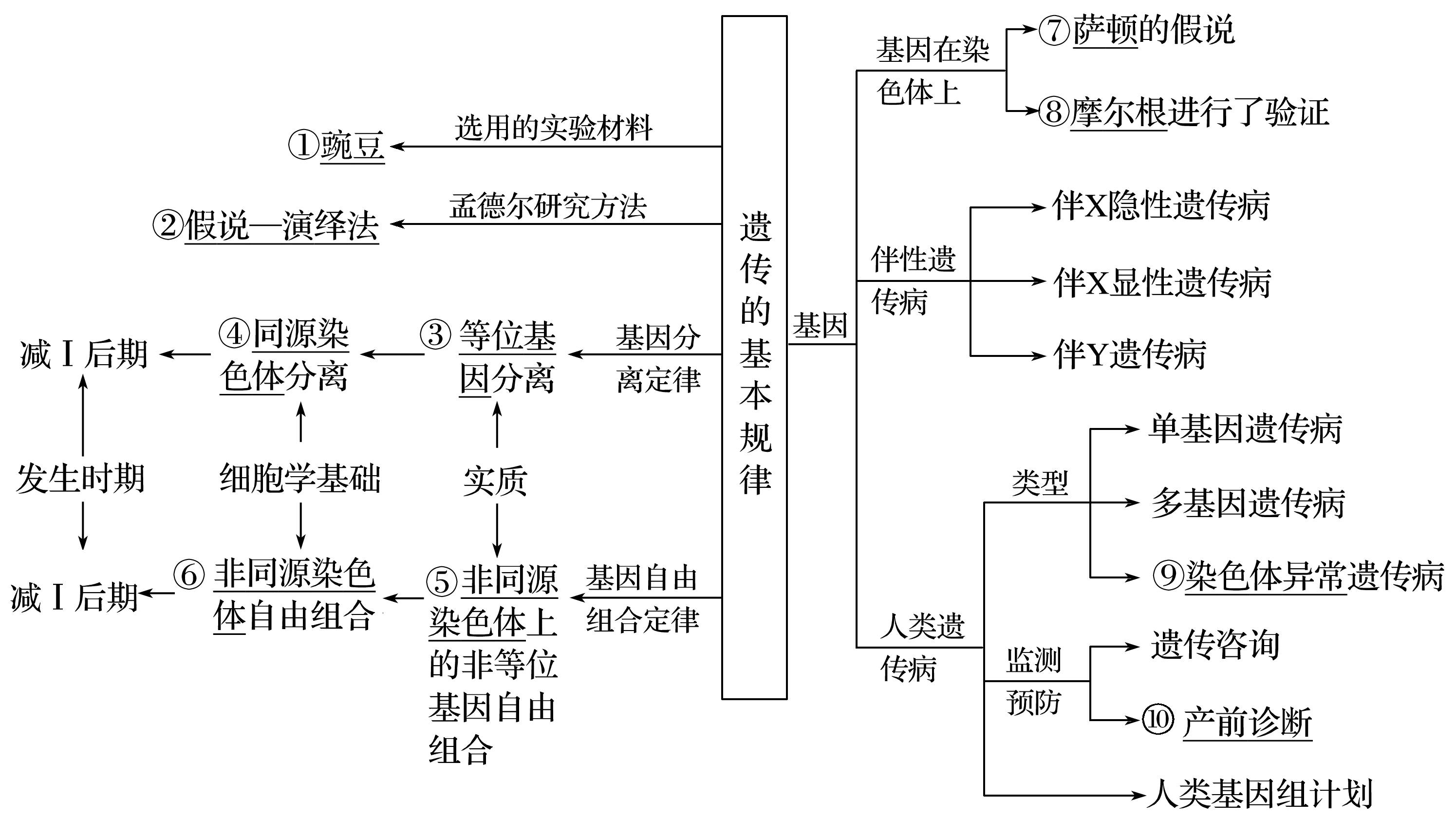 高中生物难点(二 进化与遗传及详解