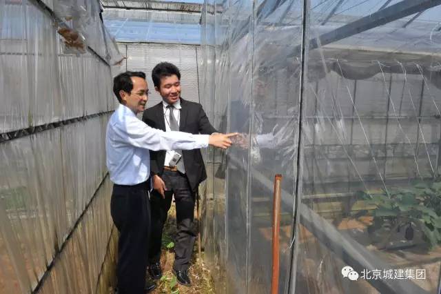 鞍山绿化老总_鞍山师范学院