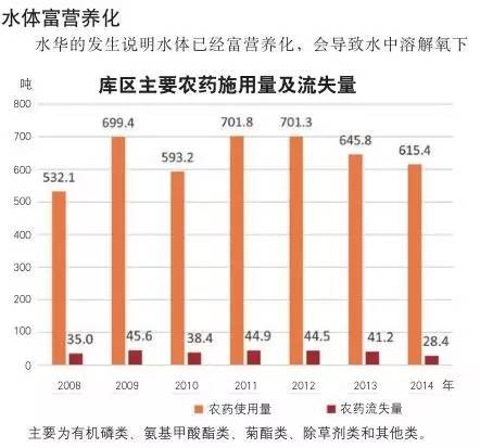 三峡集团每年gdp_高峡出平湖 ,世纪梦想成现实 建 证改革开放40周年系列报道之 三峡工程 建设(3)