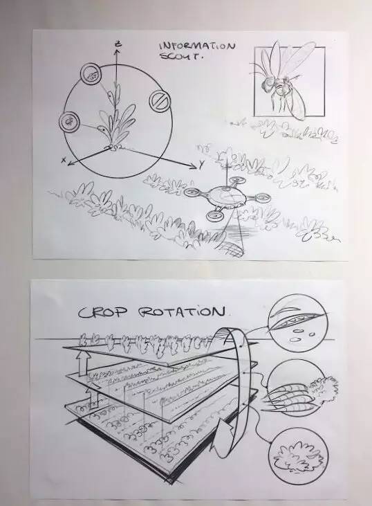 未来农业到底是啥模样?