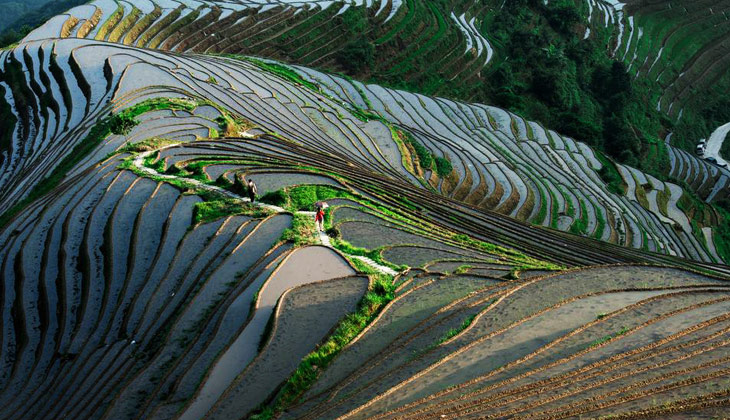 梯田,建筑,雨雾,走进一个画面,幽幽如梦 清晨,氤氲的雾气从山间升腾