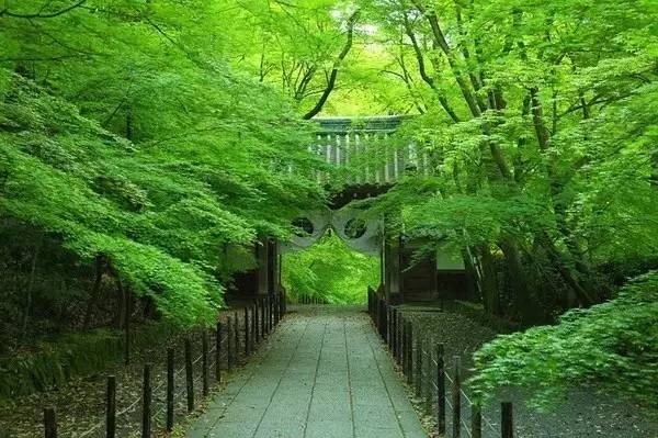 禅意庭院