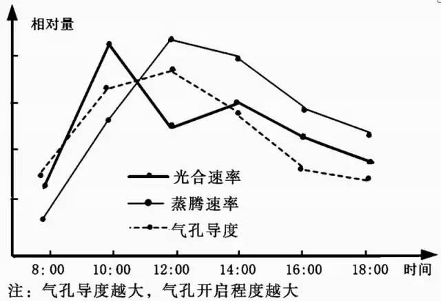 热瓶子吸水的原理是什么_老龙吸水是什么姿势(3)