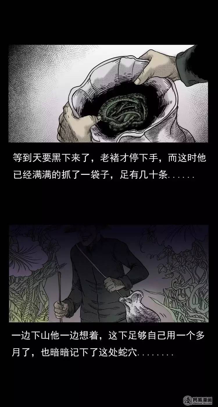 短篇鬼故事蛇酒恐怖漫画大全蛇精的报复