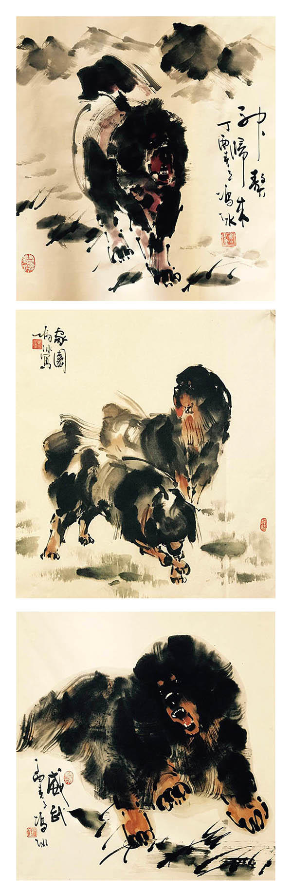 中国画獒第一人 冯冰