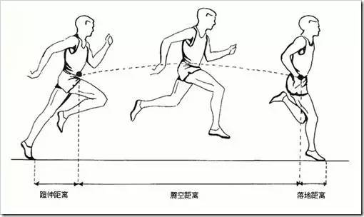 重心是我们人体各部位所受重力的合力作用点,如果我们在跑步时重心的