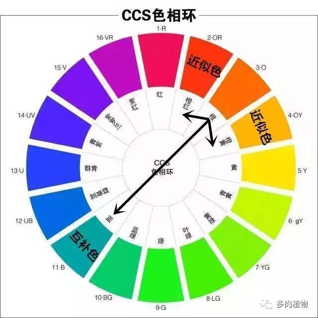 形状和颜色怎么搭_正常大便颜色和形状图