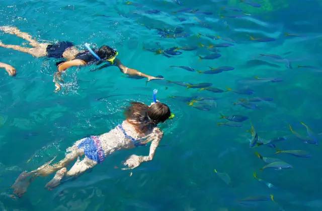 广东浮潜圣地 ,顶级海洋体验!双月湾浮潜海钓2日