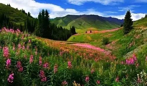 新疆边境有一个绝美秘境-【夏尔西里】!图片
