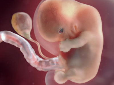 孕期表现之:怀孕8周的状态