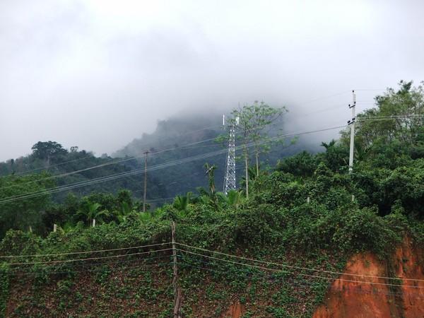 乘坡农场有多少人口_西畴县有多少人口