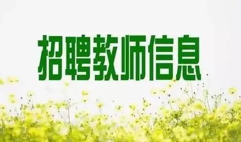 在洛宁招聘_河南省扎实做好六稳六保工作打造 稳就业生态