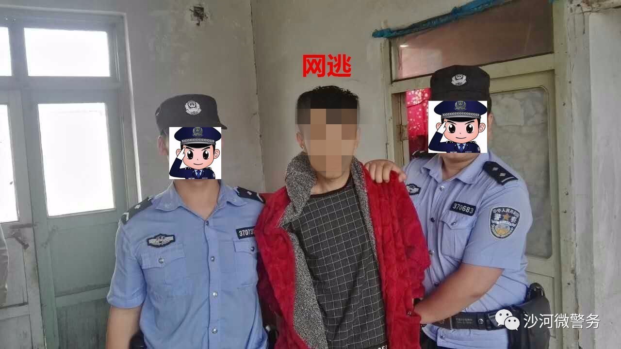 "清网行动"再发力!沙河派出所抓获一名盗窃,强奸案网逃!