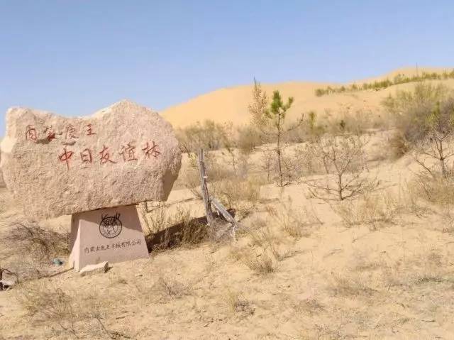 响沙湾下雨怎么办