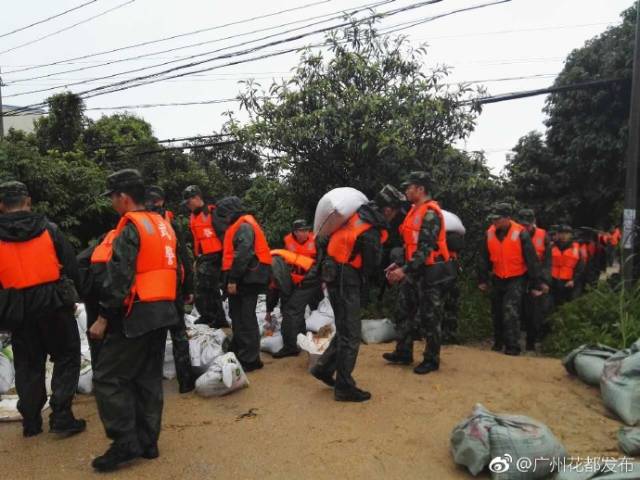 花都区花东镇总人口数_花都区花东镇