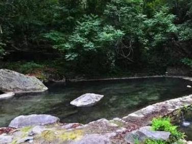 云南高黎贡山的百花岭,有春城的气候,腾冲的温泉