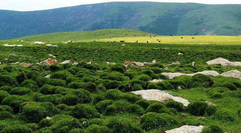 听说兰州马衔山景区关停了,真可惜