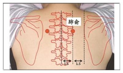 孩子咳嗽,擦揉肺腧穴,效果很好!