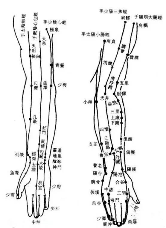 手臂外侧是大肠经,三焦经,小肠经经过的地方,手臂内侧分布着肺经,心