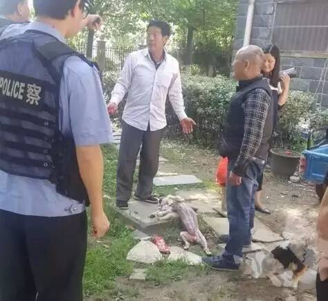 溧阳有多少人口_...子贼大 两男子溧阳南渡派出所门口打架 其中一人还向警察(3)