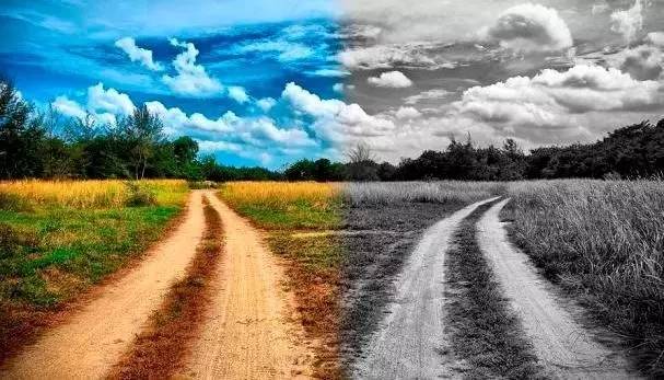 人生的道路有两条:一条是符合众人期望的,一条是顺应自己内心的,每个