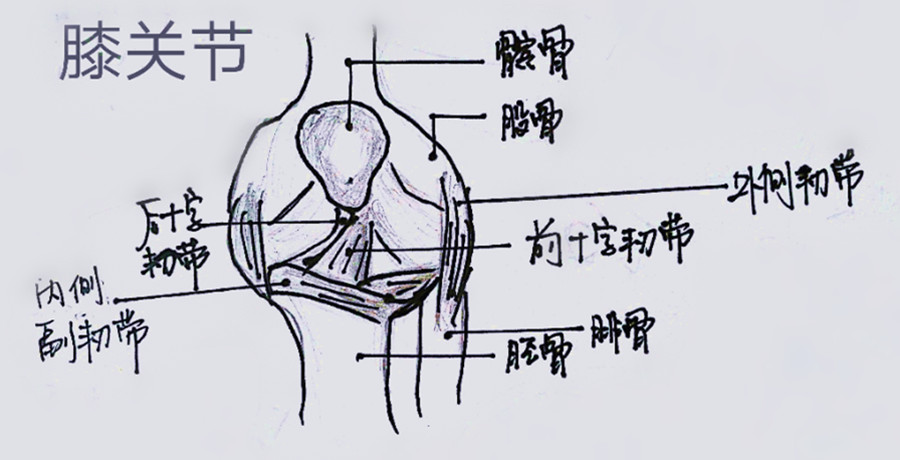 一个微创手术治疗上下楼关节疼痛,避免膝关节置换