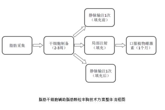 脂肪干细胞"中西医结合"丰胸 非常具有可行性