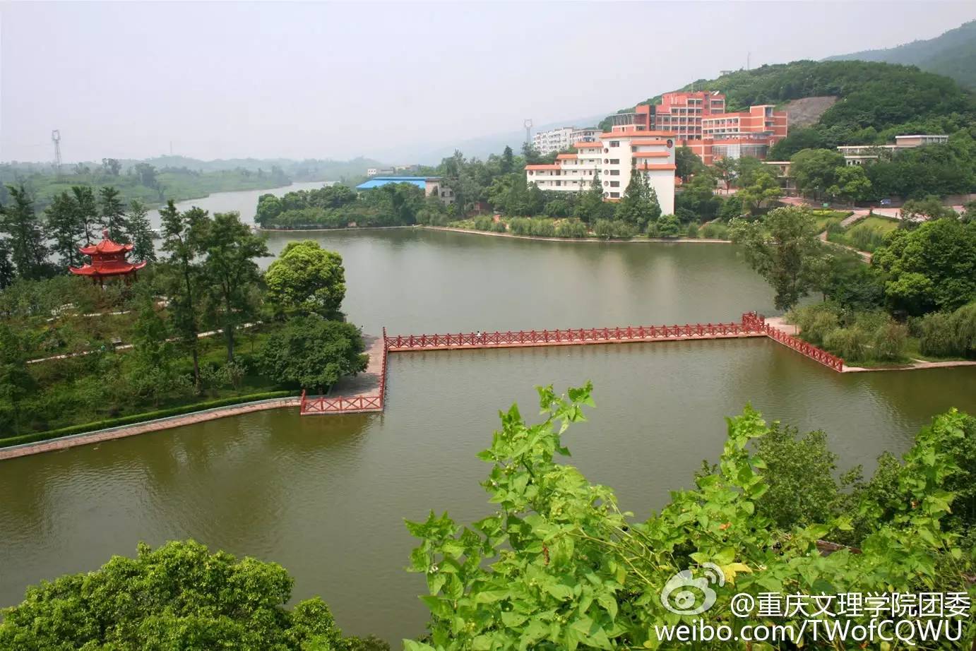 其实港真,文理学院星湖校区和红河校区里面最多的花都是红叶李