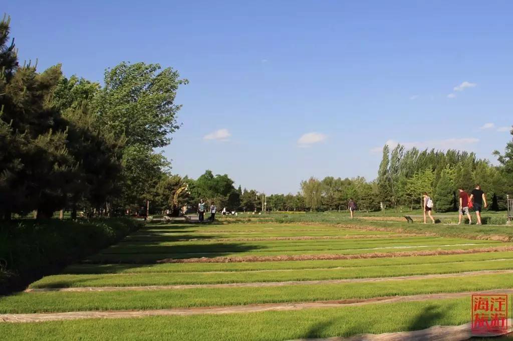 北坞公园——藏在都市的田园风景